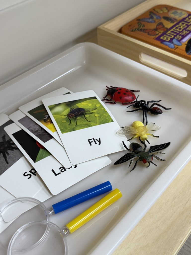 Concordia learning materials